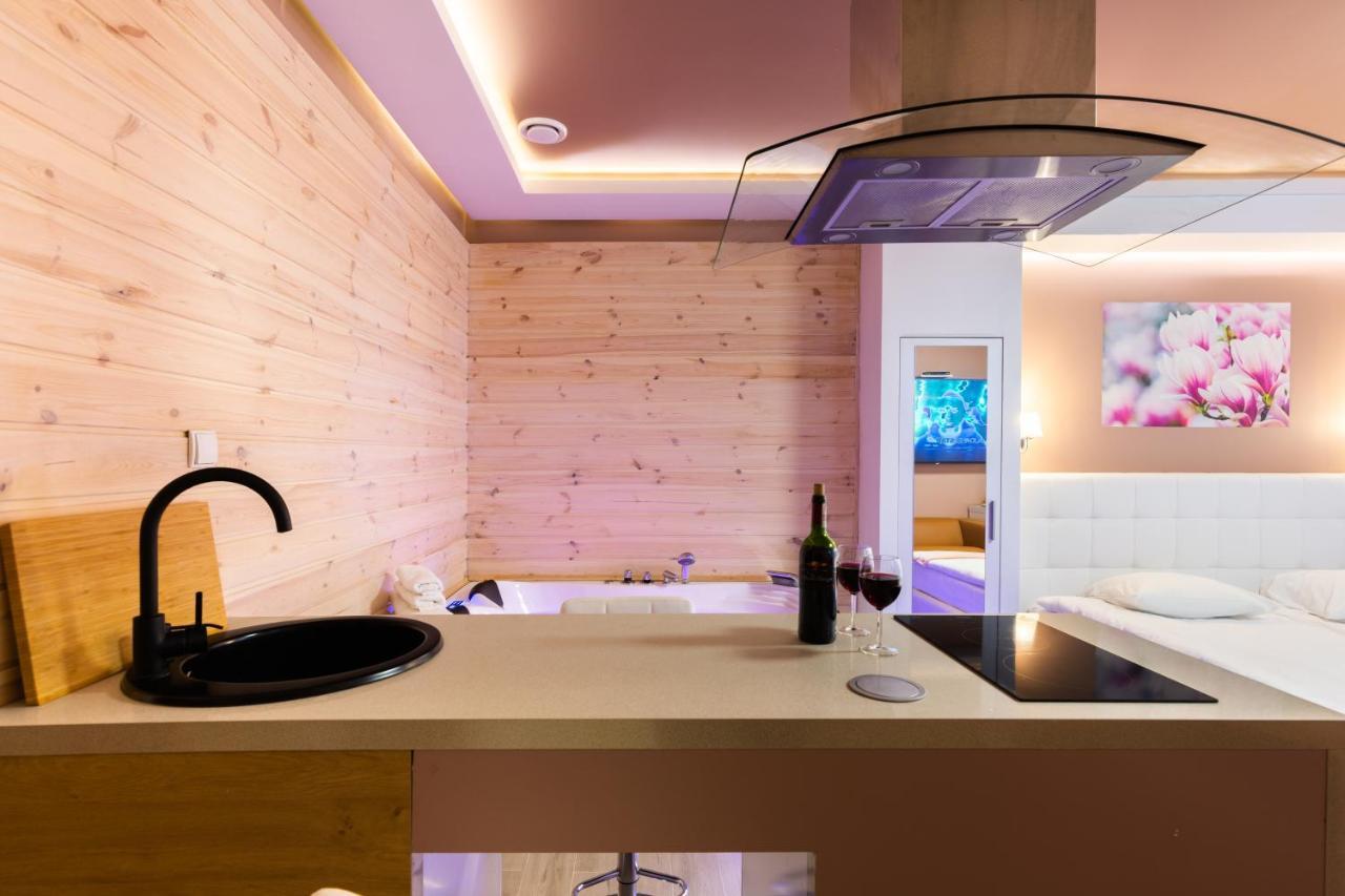Melody De Luxe Apartment Michalowice  Dış mekan fotoğraf